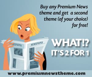 Premium News Theme Two for One