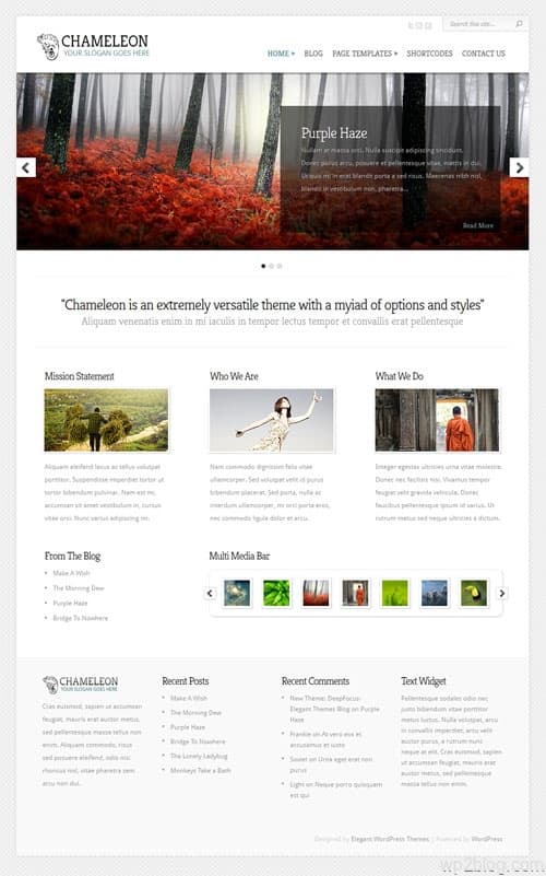 Chameleon Premium WordPress Theme