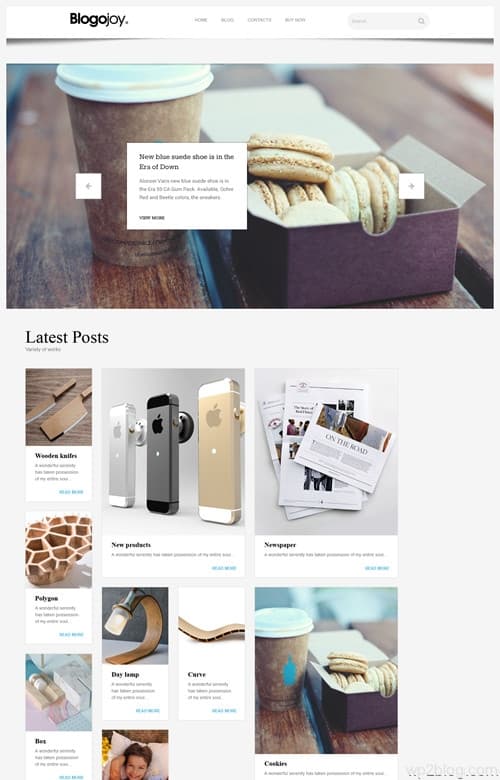 Blogojoy WordPress Theme