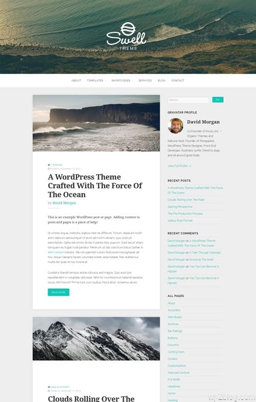 Organic Swell WordPress Theme