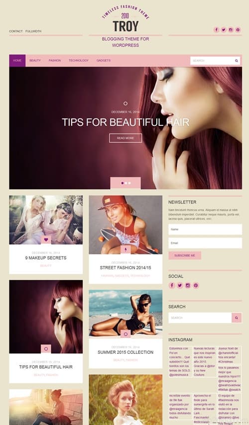 Troy WordPress Theme