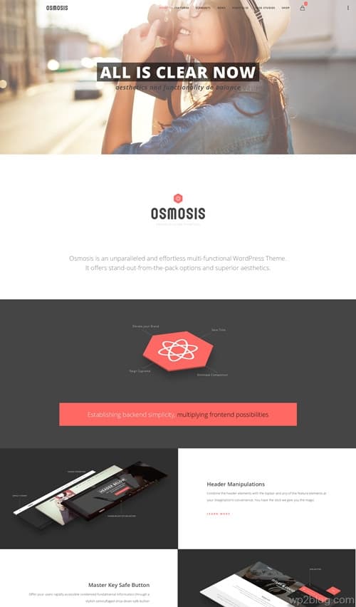 Osmosis WordPress Theme