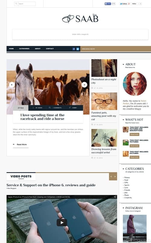 Saab WordPress Theme