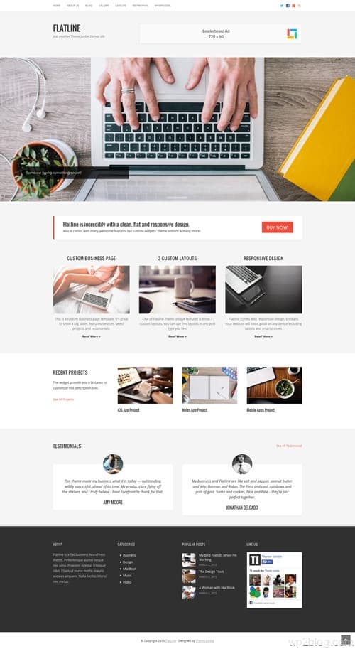 Flatline WordPress Theme