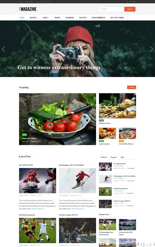 LiveMagazine WordPress Theme