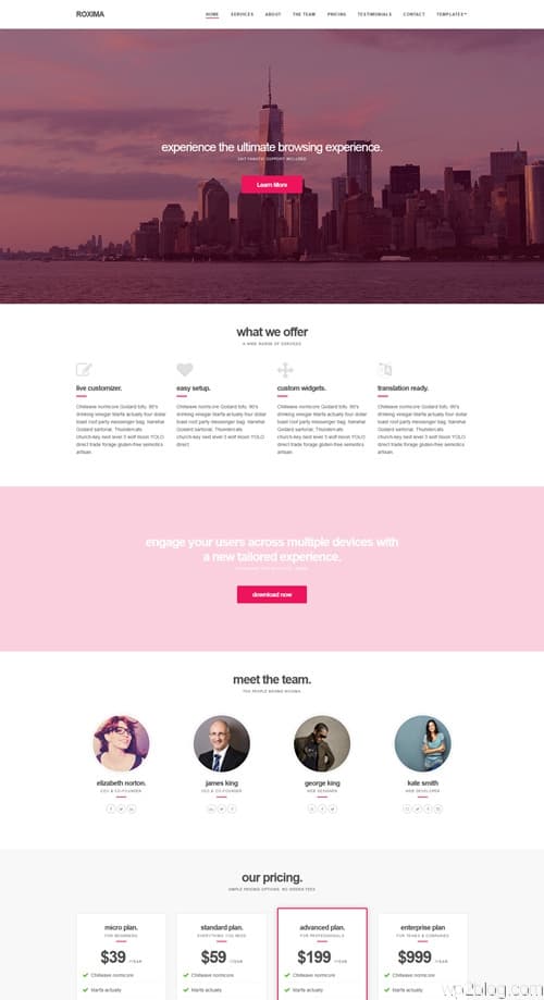 Roxima WordPress Theme