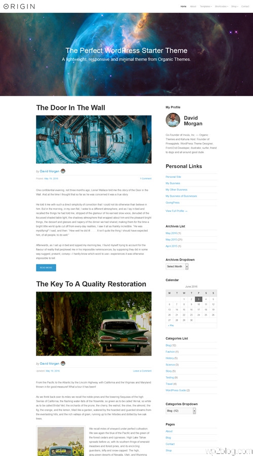 Origin WordPress Theme