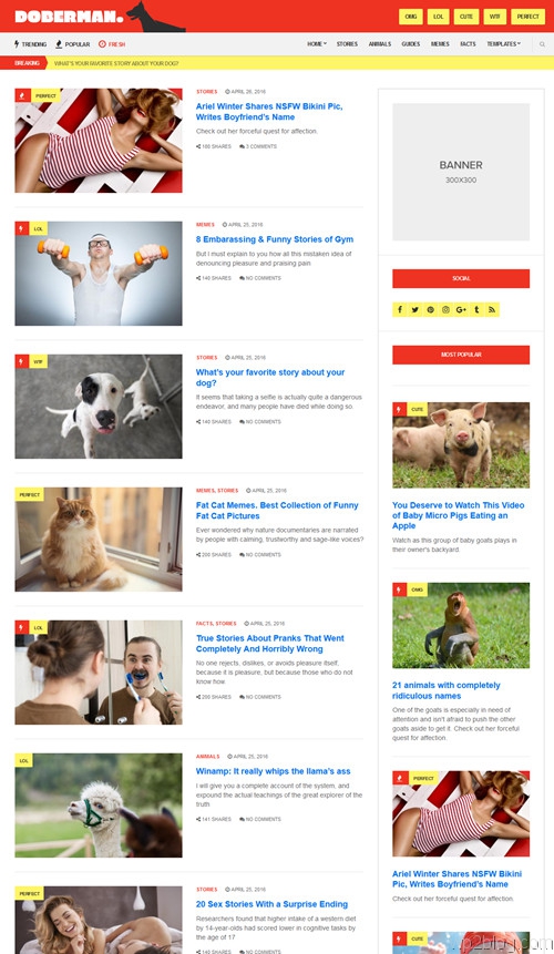 Doberman WordPress Theme