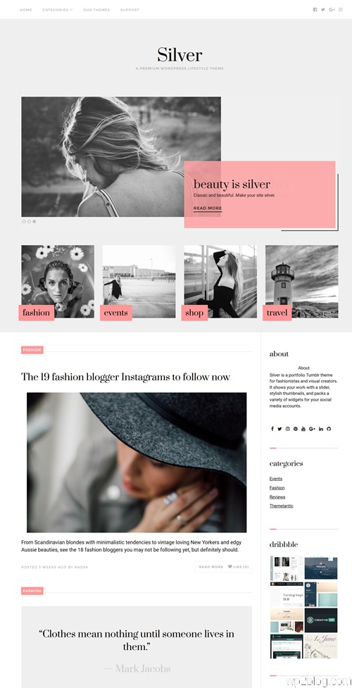 Silver WordPress Theme