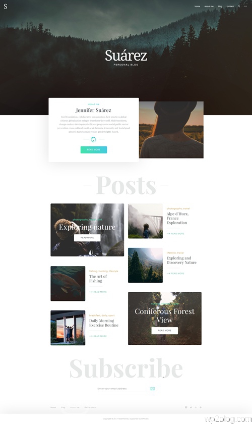 Suarez WordPress Theme