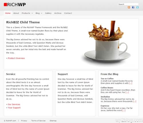RichBIZ Premium WordPress Child Theme