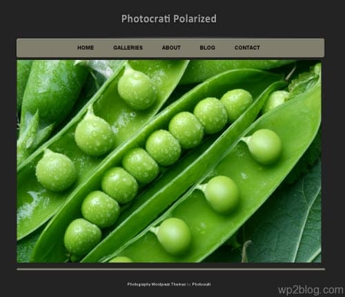 Photocrati Polarized wordpress theme