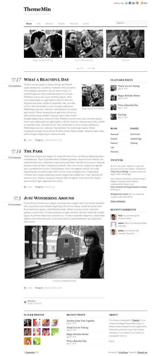 thememin-wordpress-theme