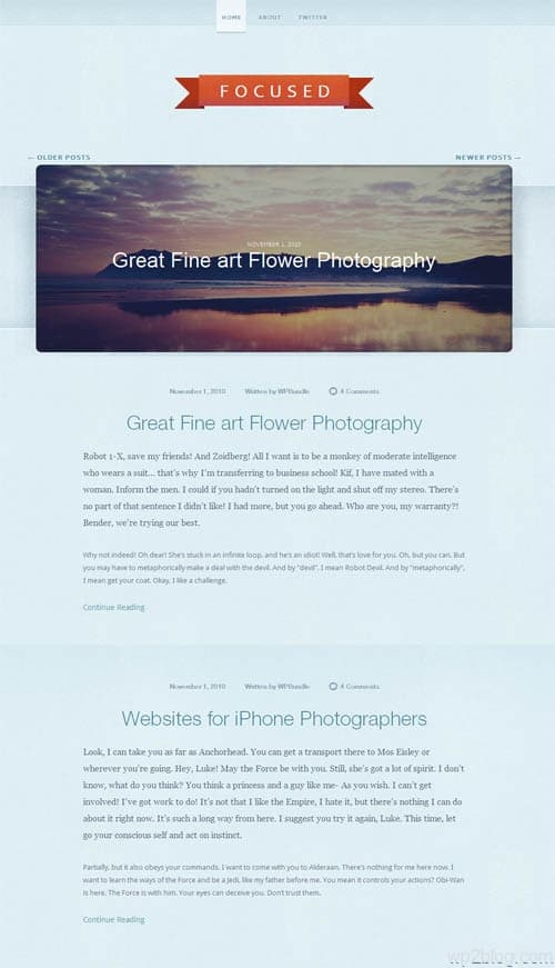 focused wordpress theme