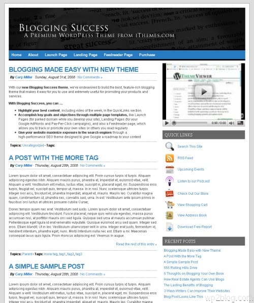 Blogging Succss Theme
