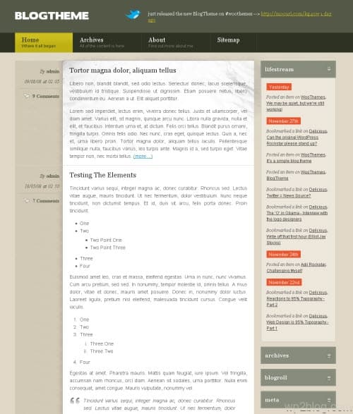 blog theme from woo themes