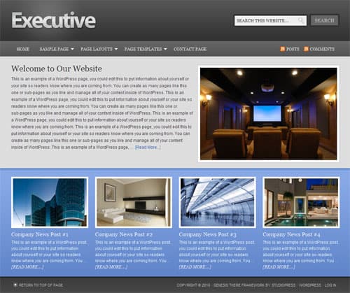 executive-child-theme