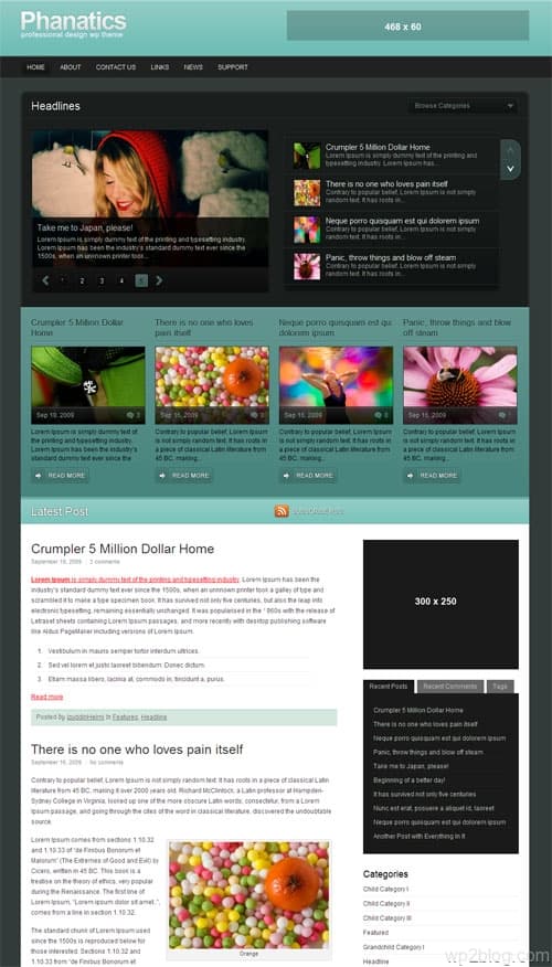 Phanatics Premium WordPress Theme