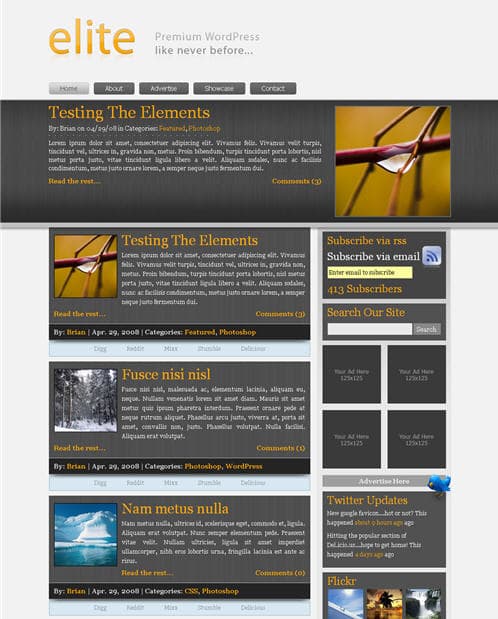 Elite Premium WordPress Theme