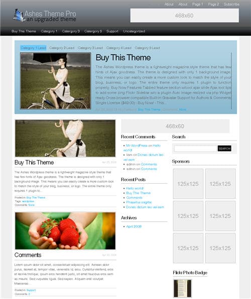 Ashes Pro WordPress Theme