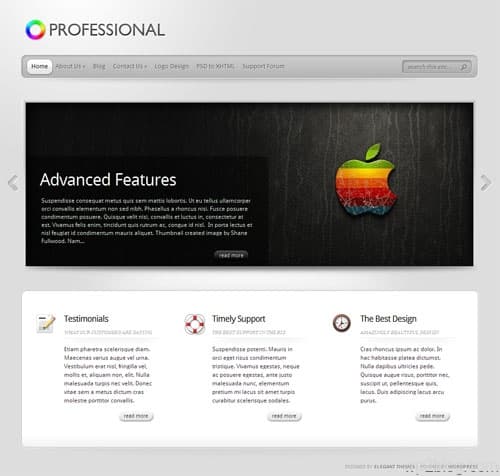 the professional wordpress theme