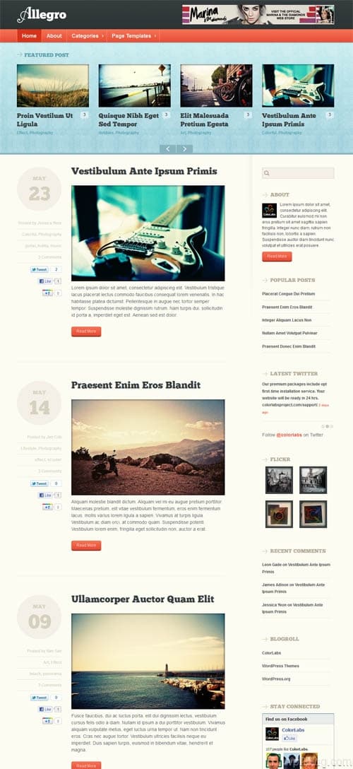 Allegro Premium WordPress Theme