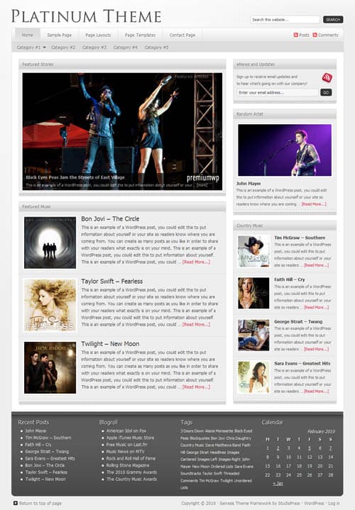 platinum-wordpress-theme