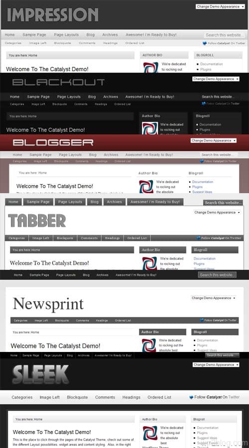 Catalyst WordPress Theme Skins