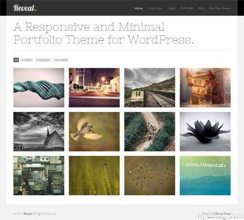 reveal wordpress theme