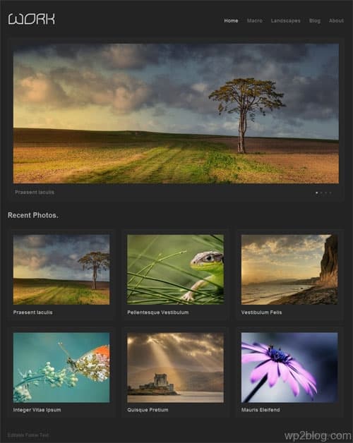 Work Portfolio Premium WordPress Theme