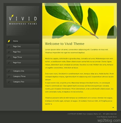 vivid wordpress theme