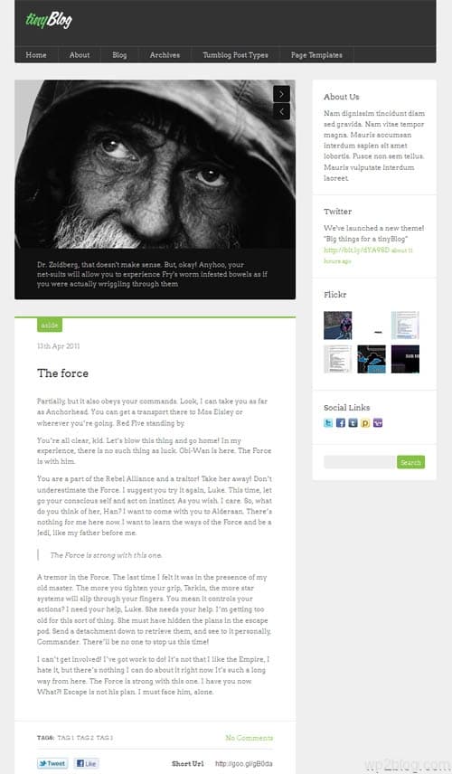 Tiny Blog Premium WordPress Theme