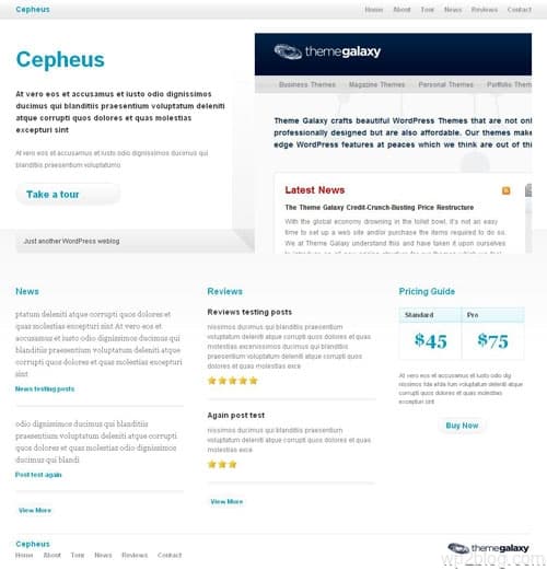 cepheus wordpress theme