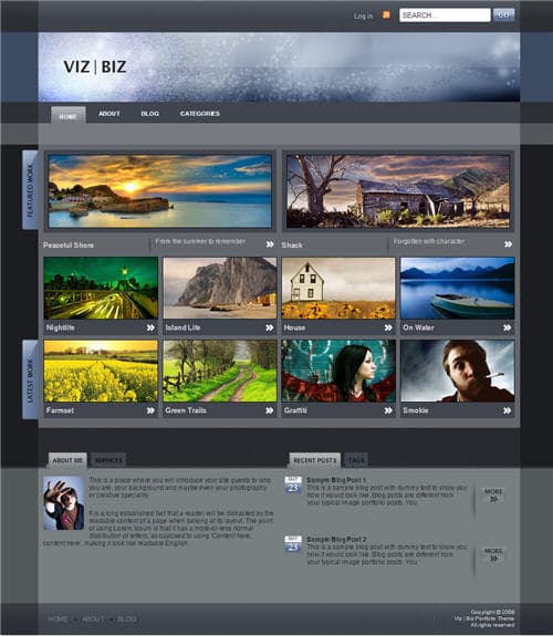 Viz Biz WordPress Theme