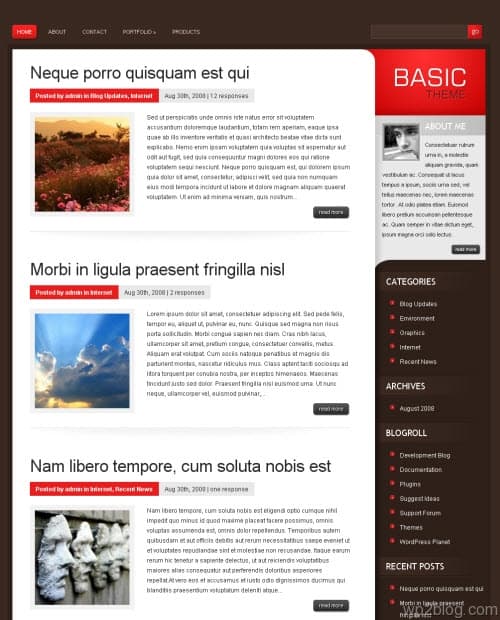 basic wordpress theme