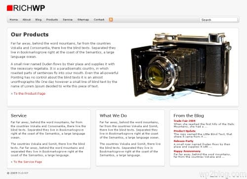 Rich Biz WordPress Theme Version 