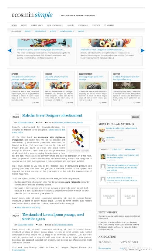 Acosmin Simple WordPress Theme