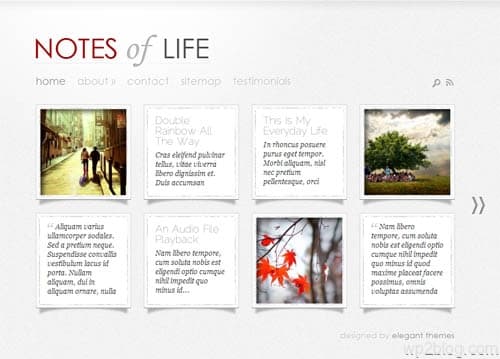 dailynotes wordpress theme