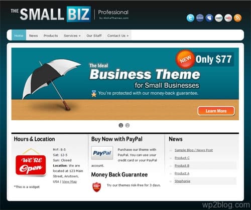 small bizz wordpress theme