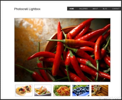 Photocrati Lightbox wordpress theme