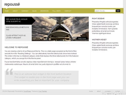 Repousse Business Premium WordPress Theme