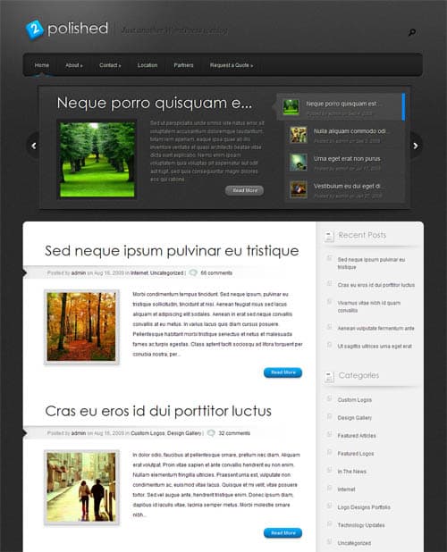 polished-wordpress-theme