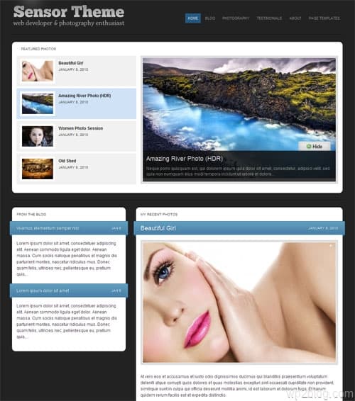 sensor wordpress theme