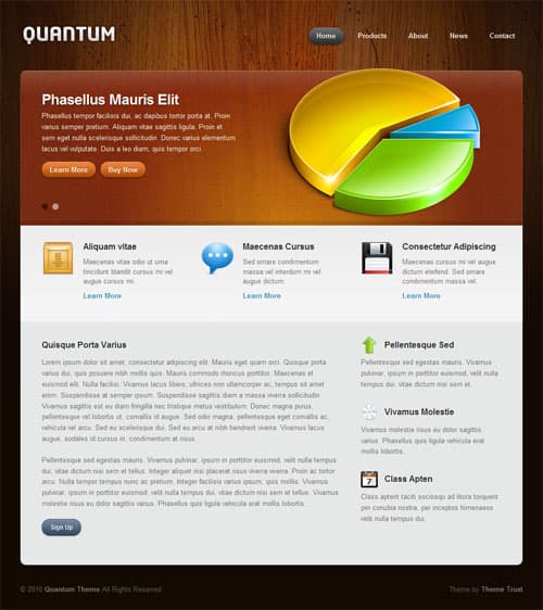 quantum-wordpress-theme