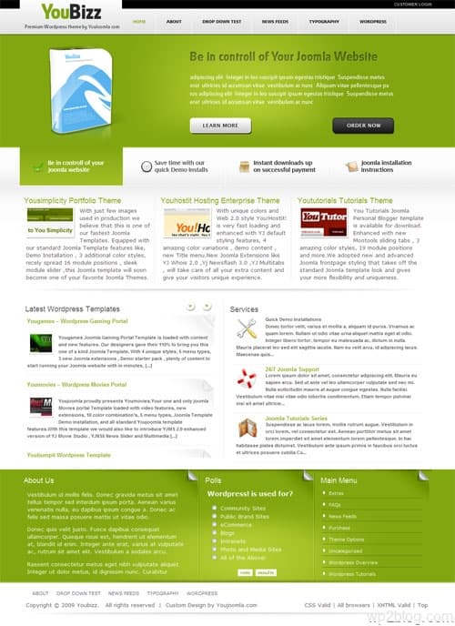 youbizz wordpress theme