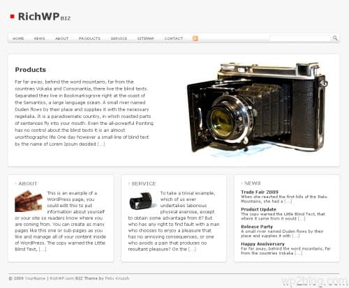 richbiz wordpress theme