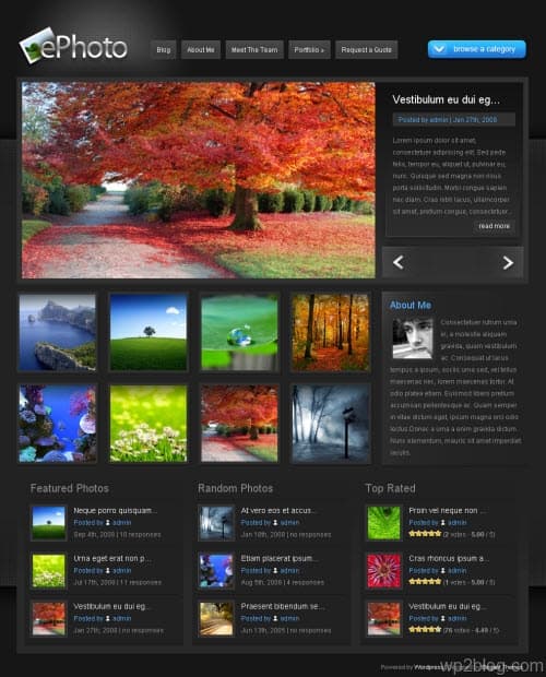 ephoto wordpress theme