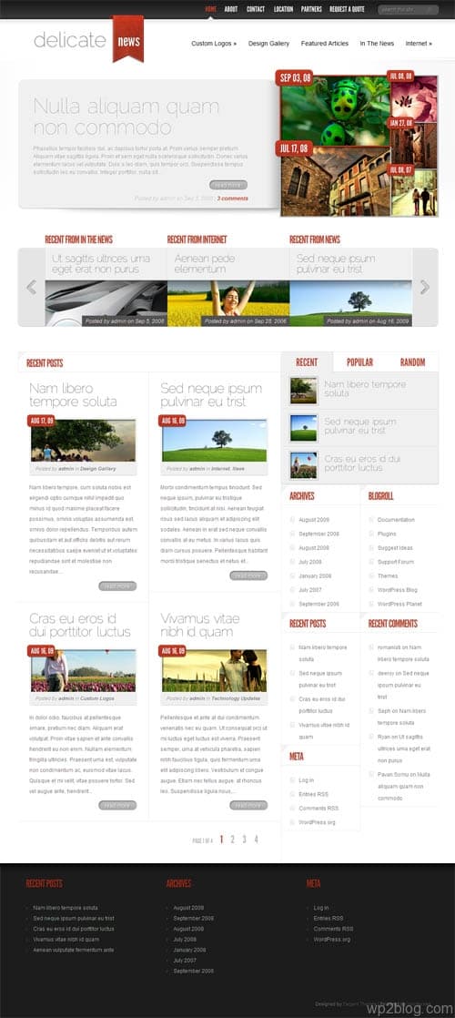 delicate news wordpress theme