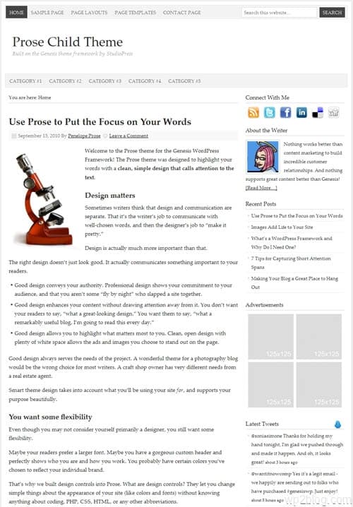 prose wordpress theme