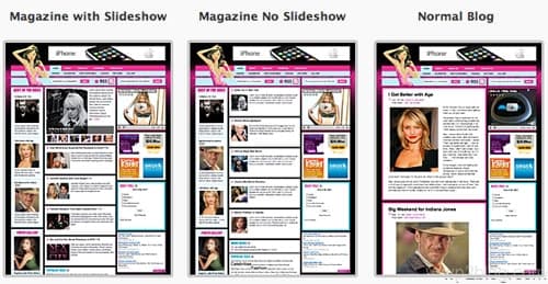 celebritypress theme options